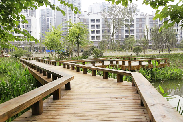 雲南樂山.夾江東鳳堰濕地公園（市政景觀）